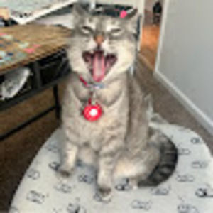 Meet your Posher, Jillian